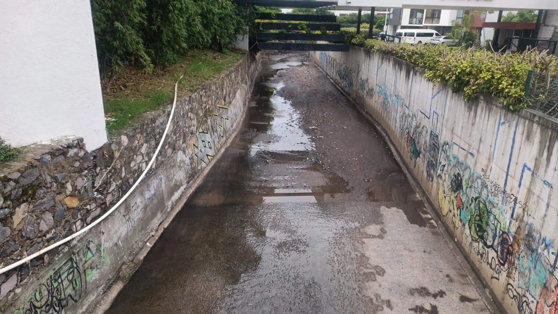 Arroyo Seco El Briseño